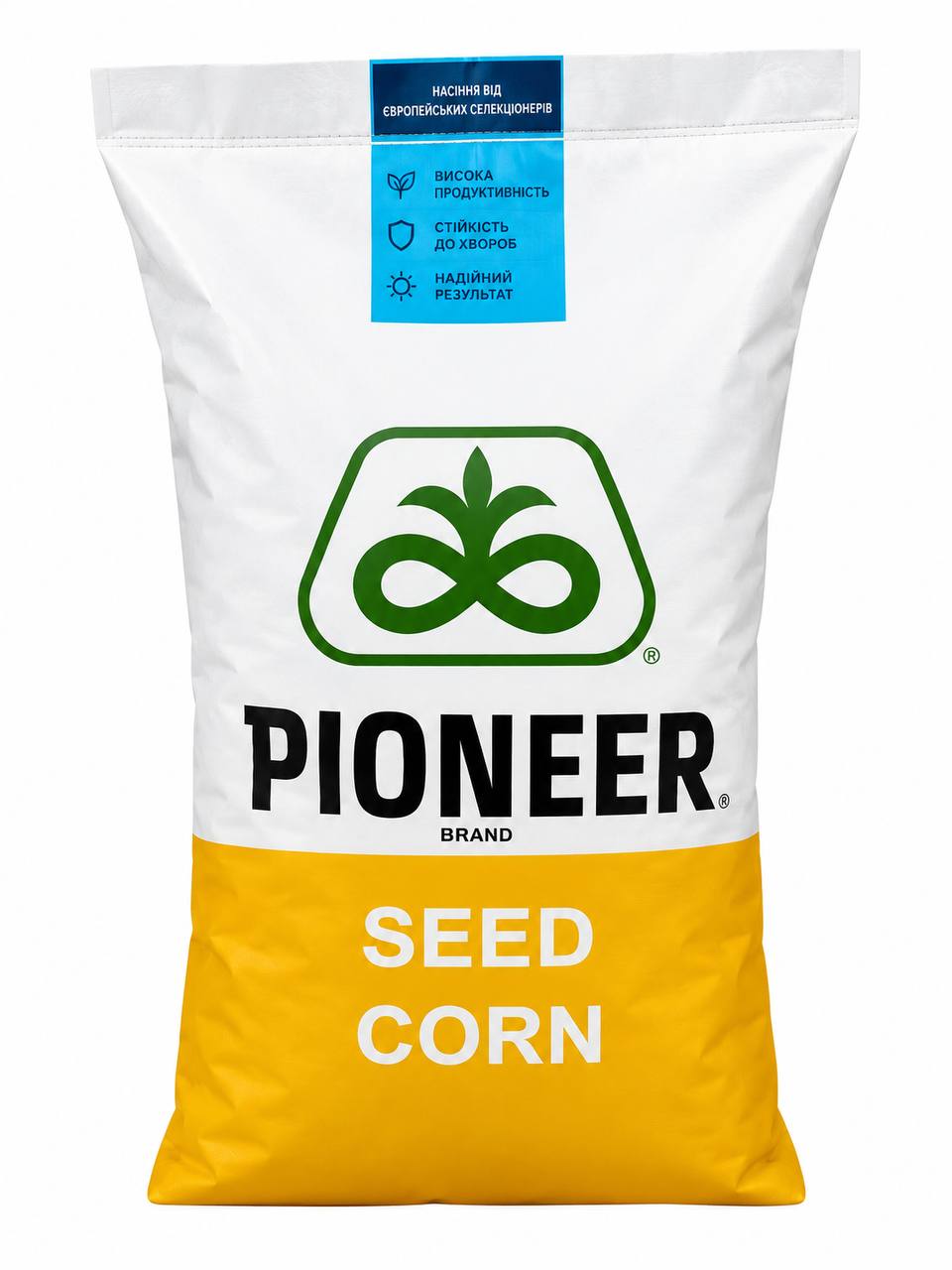Гібрид кукурудзи AQ P923 (ТМ Pioneer) – Висока вологовіддача та посухостійкість. Для зерна