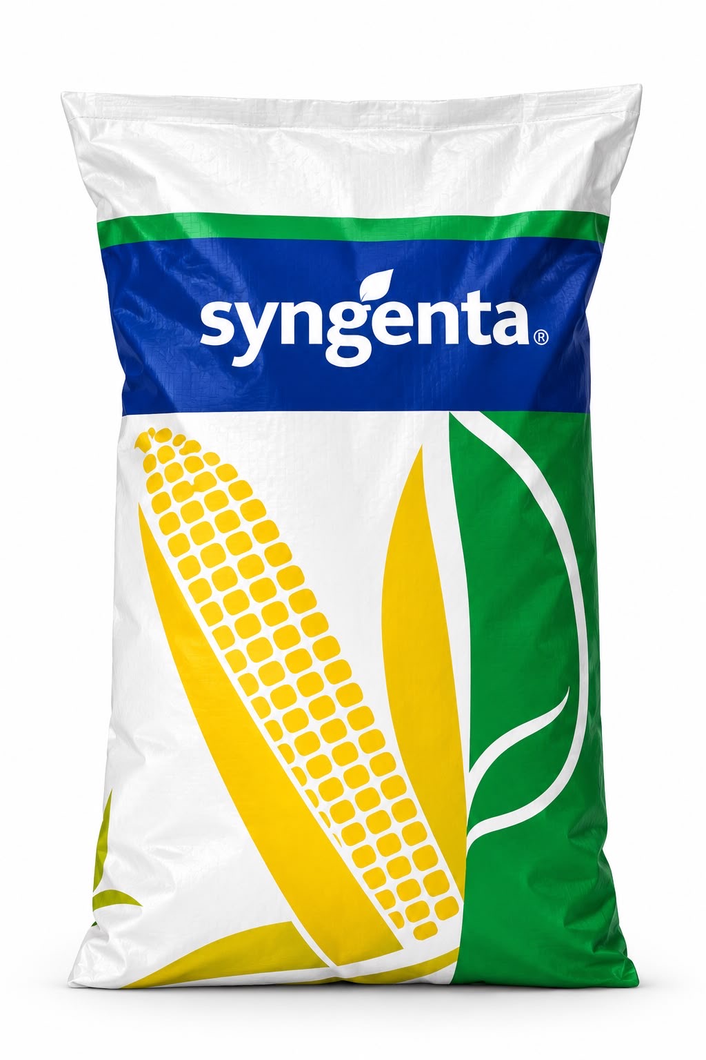 Гібрид  кукурудзи СИ Феномен (ТМ Syngenta)- Високоврожайний, посухостійкий. Купити в Україні.